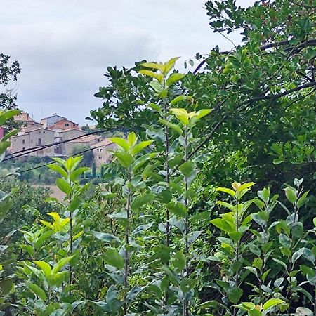 Piso Rural Sol Bergueda Daire Aviá Dış mekan fotoğraf