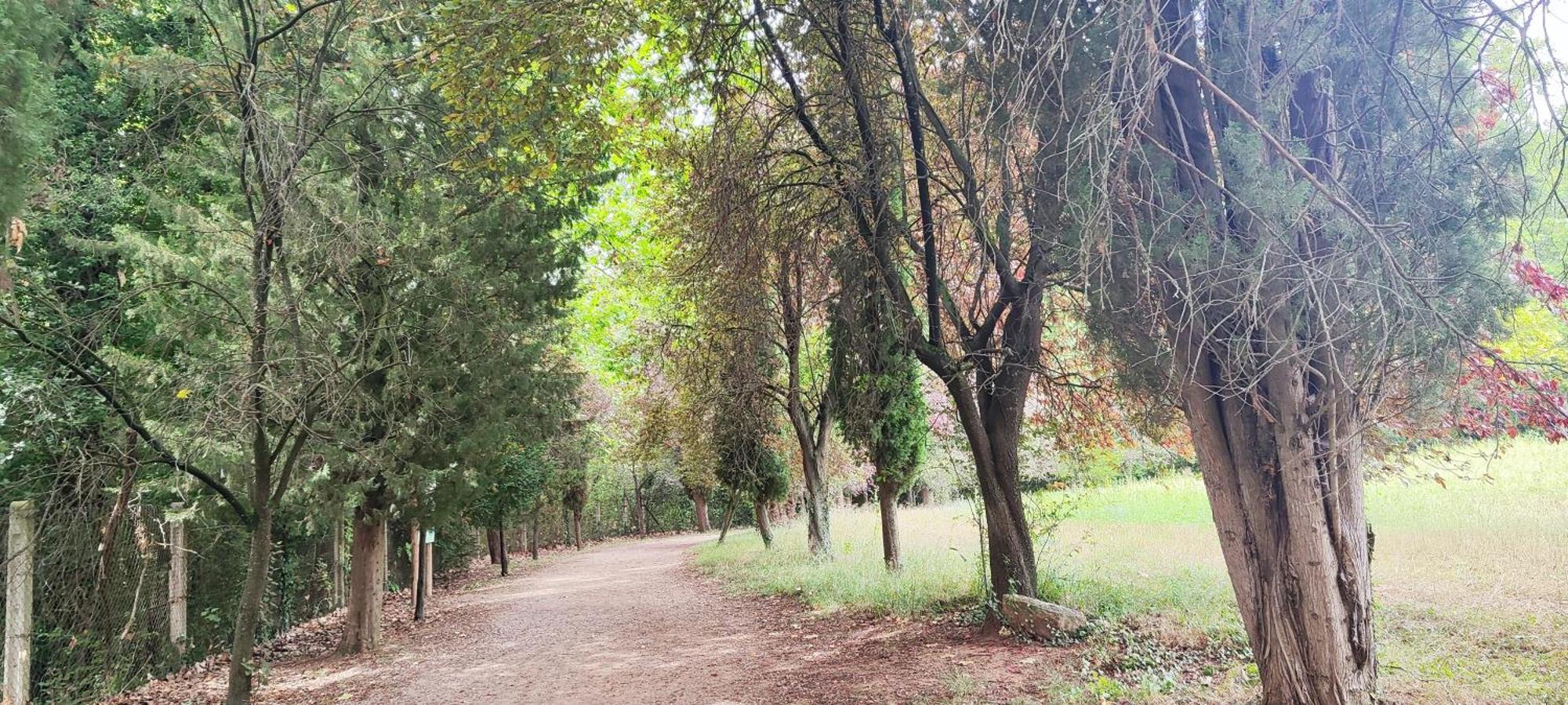 Piso Rural Sol Bergueda Daire Aviá Dış mekan fotoğraf