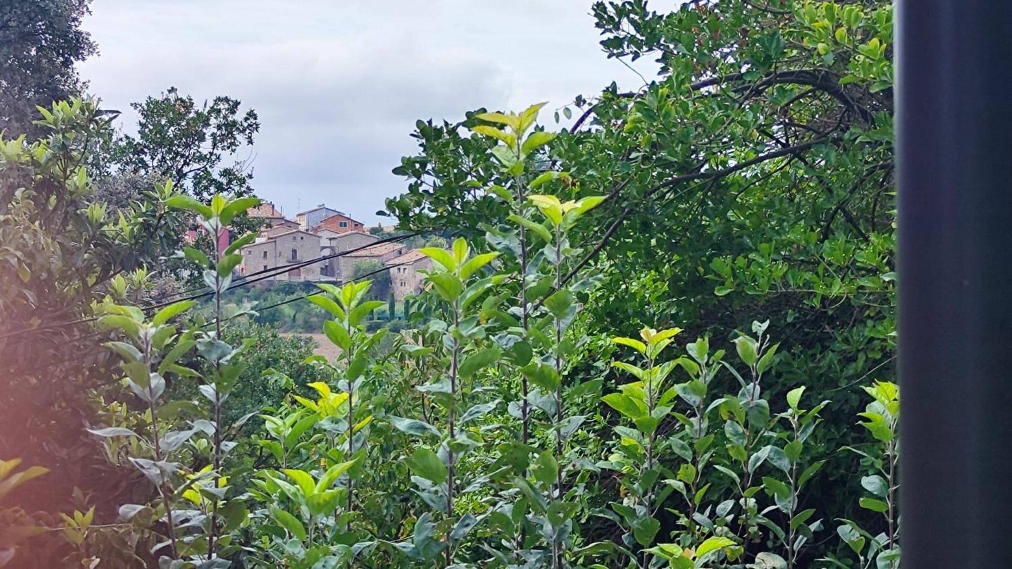 Piso Rural Sol Bergueda Daire Aviá Dış mekan fotoğraf